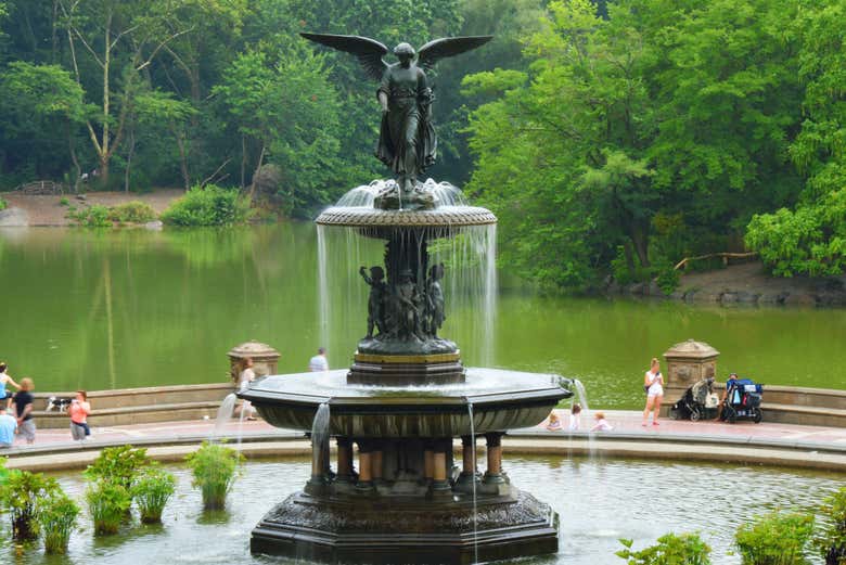 Explore Central Park