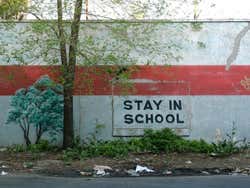 The Bronx