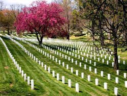 Washington, Arlington Cemetery