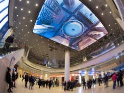 Madison Square Garden