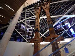 September 11 Museum, Twin Tower columns