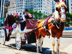 Horse drawn carriage in New York
