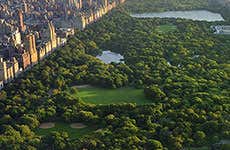 New York Travel Guide