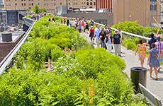 New York Travel Guide