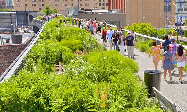 Above Grade: On the High Line