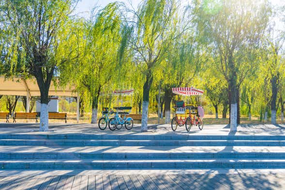 Central Park Rickshaw Tour